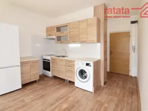 Pronájem bytu 1+1, Chomutov, Březenecká, 33 m2