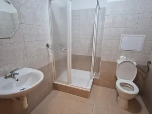 Prodej bytu 1+kk, Štěnovice, Čižická, 27 m2