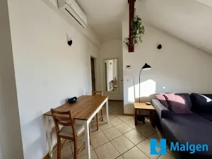 Pronájem bytu 2+kk, Praha - Bubeneč, U akademie, 45 m2