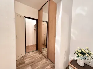 Pronájem bytu 1+1, Ústí nad Labem - Severní Terasa, Rabasova, 42 m2