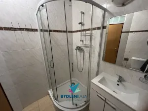 Pronájem bytu 3+kk, Teplice, U Hadích lázní, 73 m2