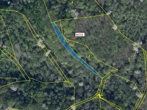 Dražba lesa, Zubrnice, 815 m2