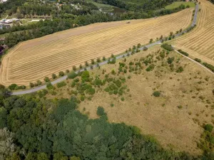 Prodej pozemku pro bydlení, Rakovník, Nad Koupalištěm, 963 m2