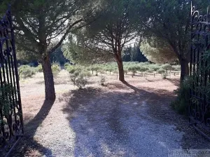 Prodej zemědělské usedlosti, Carsan, Francie, 386 m2