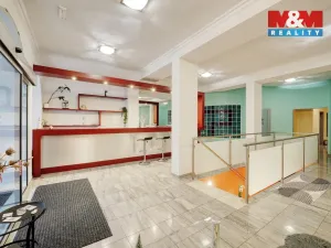 Pronájem obchodního prostoru, Plzeň - Severní Předměstí, Pod Všemi svatými, 12 m2