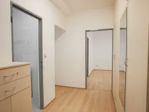 Pronájem bytu 3+1, Praha - Břevnov, Nad alejí, 69 m2