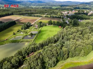 Prodej komerčního pozemku, Nová Pec, 9752 m2