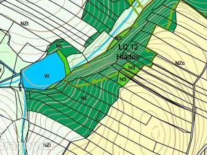 Dražba lesa, Chotýšany, 21423 m2