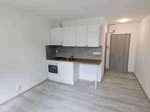 Pronájem bytu 1+kk, Kraslice, B. Smetany, 22 m2