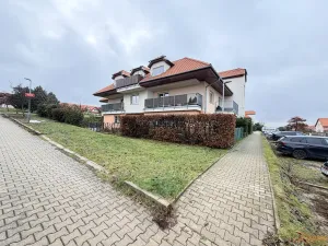 Pronájem bytu 1+kk, Holubice, Buková, 40 m2