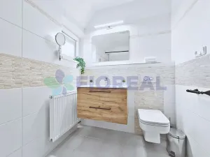 Pronájem rodinného domu, Lidice, Starosty Hejmy, 289 m2