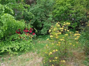 Prodej rodinného domu, Drslavice, 86 m2