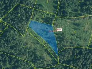 Dražba lesa, Pačejov, 3251 m2