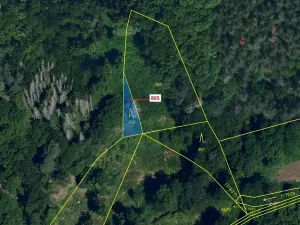 Dražba lesa, Dešov, 111 m2