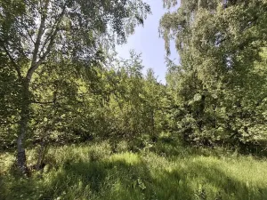 Prodej pozemku, Pomezí nad Ohří, 39941 m2