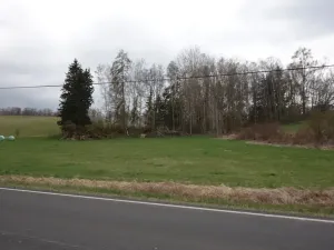 Prodej louky, Cheb, 5828 m2