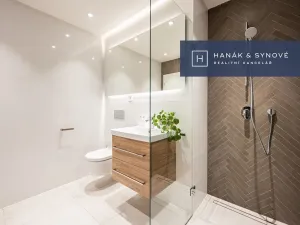 Pronájem bytu 1+kk, Brno, Cejl, 27 m2