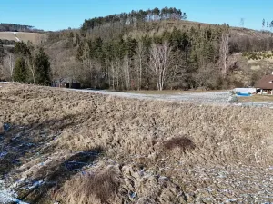 Prodej pozemku pro bydlení, Radnice, Puchmajerova, 850 m2