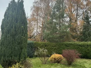 Pronájem zahrady, Postupice, 729 m2