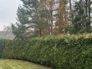 Pronájem zahrady, Postupice, 729 m2