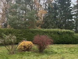 Pronájem zahrady, Postupice, 729 m2