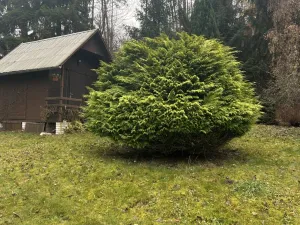 Pronájem zahrady, Postupice, 729 m2