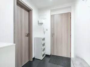 Pronájem bytu 1+1, Chomutov, Grégrova, 42 m2