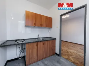 Pronájem bytu 1+1, Cheb, Kasární náměstí, 30 m2