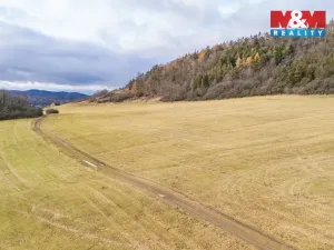 Prodej louky, Kublov, 13853 m2