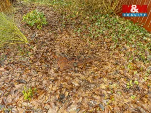 Prodej pozemku pro bydlení, Bítouchov - Dalešice, 799 m2