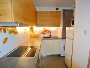 Pronájem bytu 2+kk, Praha - Háje, Janouchova, 43 m2