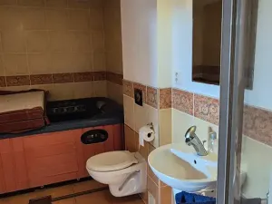 Prodej rodinného domu, Krupka, Angreštový sad, 205 m2