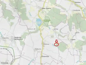 Prodej lesa, Hořiněves, 1080 m2