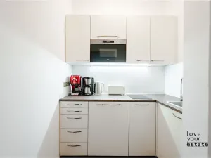 Pronájem bytu 1+1, Praha - Nové Město, Lannova, 35 m2