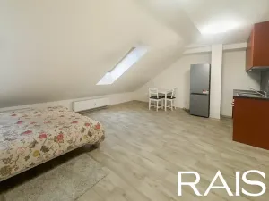 Pronájem bytu 1+kk, Brno, 41 m2