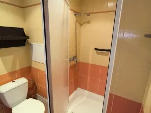 Pronájem bytu 1+kk, Děčín, Želenická, 25 m2