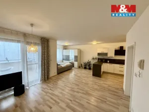 Pronájem bytu 1+kk, Brno, Řípská, 48 m2
