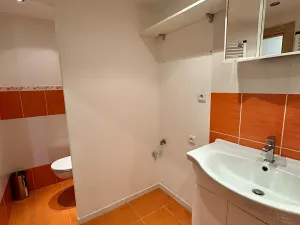 Pronájem bytu 3+1, Děčín, Weberova, 69 m2