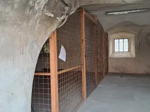 Dražba - jiné, Jesenice, Hlavní, 22617 m2