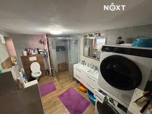 Prodej rodinného domu, Zborovice, 240 m2