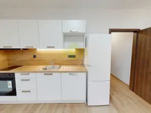 Pronájem bytu 1+kk, Olomouc, Janského, 36 m2