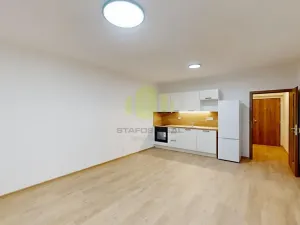 Pronájem bytu 1+kk, Olomouc, Janského, 38 m2