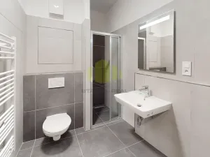 Pronájem bytu 1+kk, Olomouc, Janského, 38 m2
