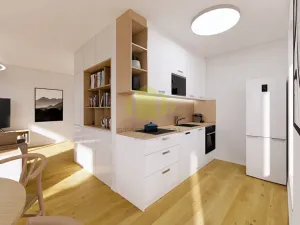 Prodej bytu 2+kk, Lipník nad Bečvou, Mánesova, 50 m2