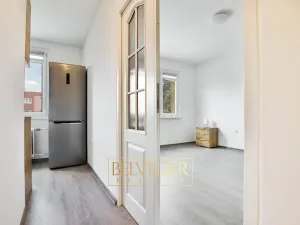 Pronájem bytu 2+1, Duchcov, Sadová, 52 m2