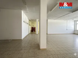 Pronájem obchodního prostoru, Štětí, Obchodní, 2000 m2