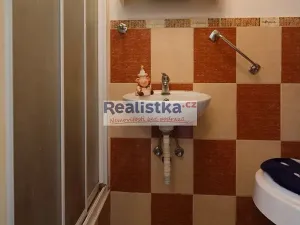 Prodej rodinného domu, Blovice, U Trati, 320 m2