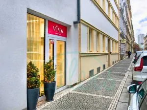 Prodej obchodního prostoru, Praha, Neklanova, 74 m2