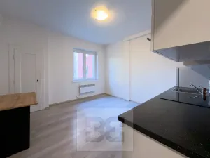 Pronájem bytu 2+kk, Praha - Žižkov, Viklefova, 46 m2