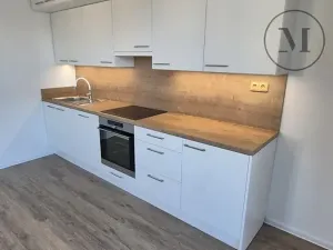 Pronájem bytu 3+kk, České Budějovice, Branišovská, 84 m2